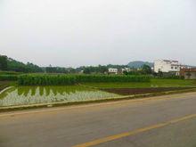 馬坪鎮[廣西壯族自治區象州縣馬坪鎮]