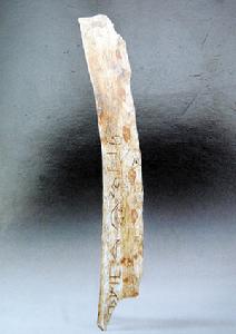 羊髀骨卜 羊髀骨卜