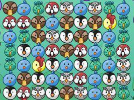 各種鳥擋路 各種鳥擋路