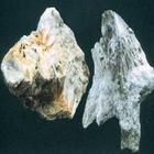 陽起石湯 陽起石湯