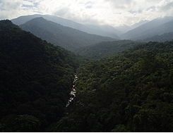 伊塔蒂亞亞國家公園 伊塔蒂亞亞國家公園