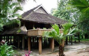 熱帶植物園 熱帶植物園