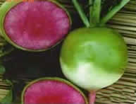 （圖）北京辣菜