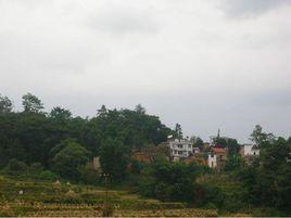 上主魯老寨村 上主魯老寨村