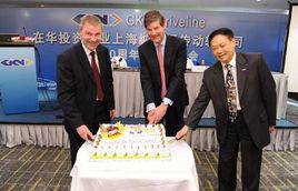 中外合營企業 中外合營企業