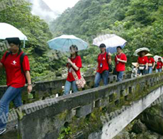 （圖）犯罪問題