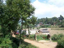 岔溝頭村 岔溝頭村