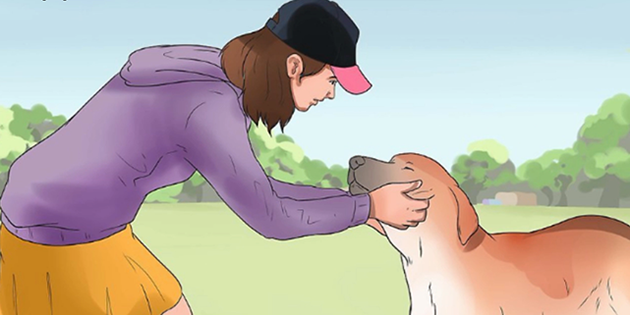 如何判斷動物的同情心? 如何判斷動物的同情心?