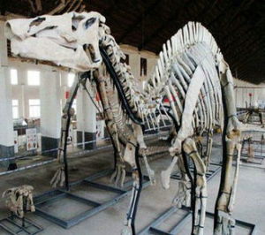 中國肯氏獸動物群