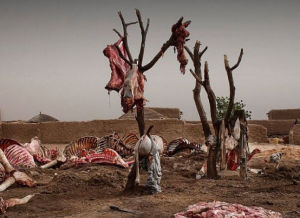 尼日大饑荒真實一幕