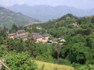 新南坪自然村 新南坪自然村