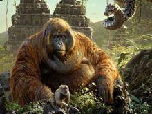 路易王[奇幻森林中的角色]