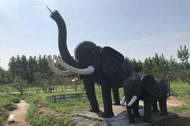 曲阜三合生態動物園 曲阜三合生態動物園