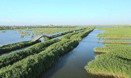 曹妃甸區第一農場