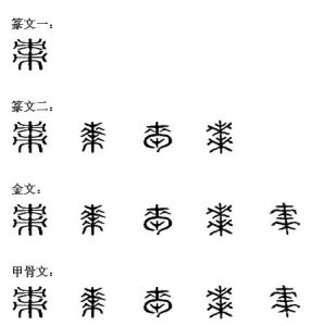 棗的漢字演變