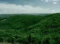 萬人歡林場 萬人歡林場