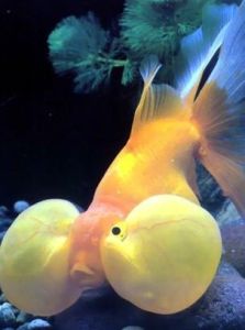 北京海底世界 北京海底世界