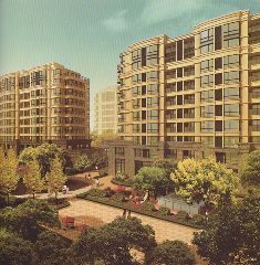 衢州檀香山 衢州檀香山