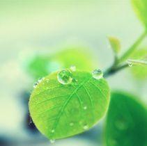 心靈雨露 心靈雨露