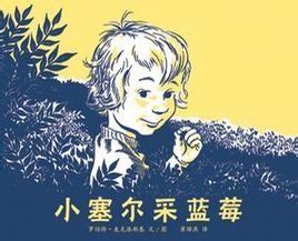 小塞爾采藍莓 小塞爾采藍莓