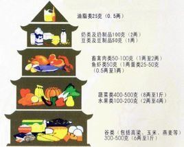 膳食結構 膳食結構