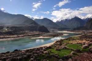 布吉爾根姓 布吉爾根姓