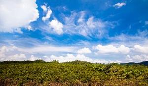 碧桂園山湖灣 碧桂園山湖灣