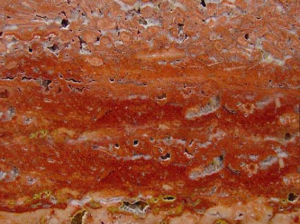 紅洞石(一) | Red Travertine |