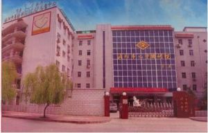 奮鬥中的洛陽市兒童福利院