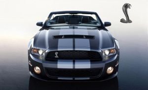 豪華汽車賽 豪華汽車賽