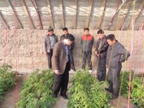 土壤生物改良 土壤生物改良