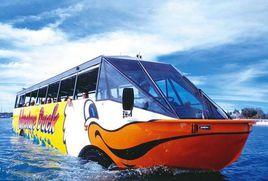 兩棲觀光巴士 兩棲觀光巴士