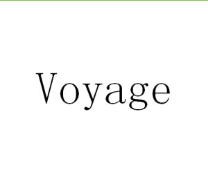 Voyage[專輯]