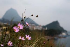 玉溪祿充大洞 玉溪祿充大洞