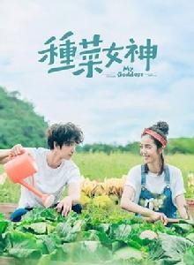 種菜女神 種菜女神