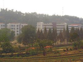 黃岡廟村 黃岡廟村