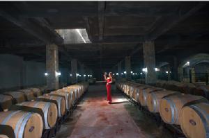 武當紅梅諾克酒莊