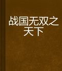 戰國無雙之天下 戰國無雙之天下