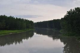民權黃河故道國家生態公園 民權黃河故道國家生態公園