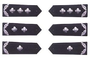 人民警察警銜標誌式樣和佩帶辦法