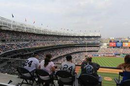 新洋基球場 新洋基球場