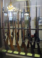 奧地利斯太爾-曼利夏M1895系列步槍