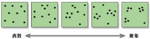 空間分布的形式:離散-集聚