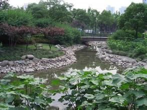 延中公園 延中公園