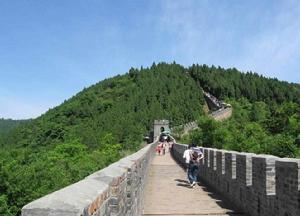 金龍長城 金龍長城