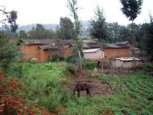 張家水溝村 張家水溝村