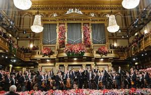 2014年維也納新年音樂會現場