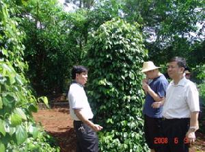 （圖）東路農場