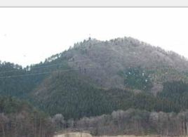 花崗暴動 花崗暴動