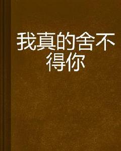 我真的捨不得你 我真的捨不得你
